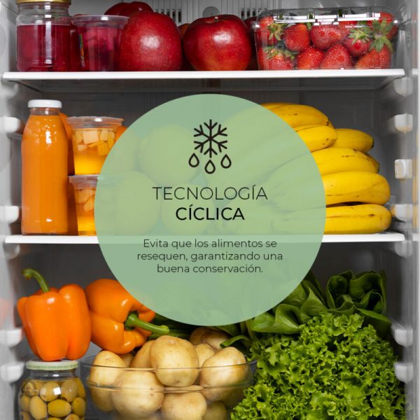 Frigorifico Combi Svan SC185502E Cíclico E 180cm 55cm 56cm Blanco - Imagen 4